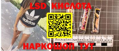 мяу мяу мука Кулебаки
