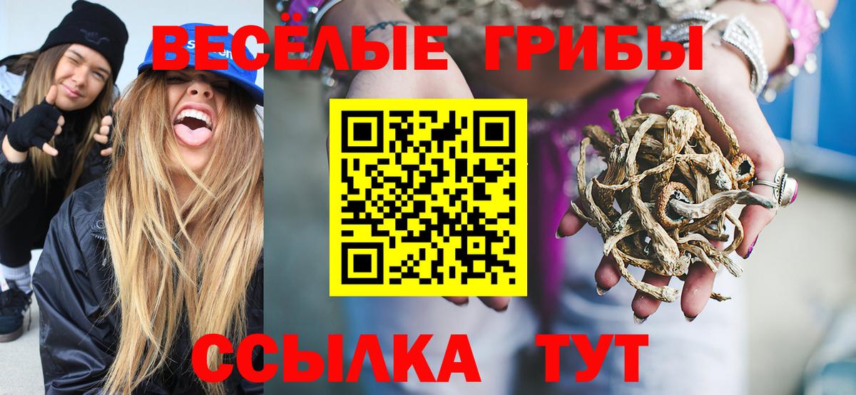 Галлюциногенные грибы прущие грибы  Вход с VPN  Галлюциногенные грибы ЛСД  Киселёвск 