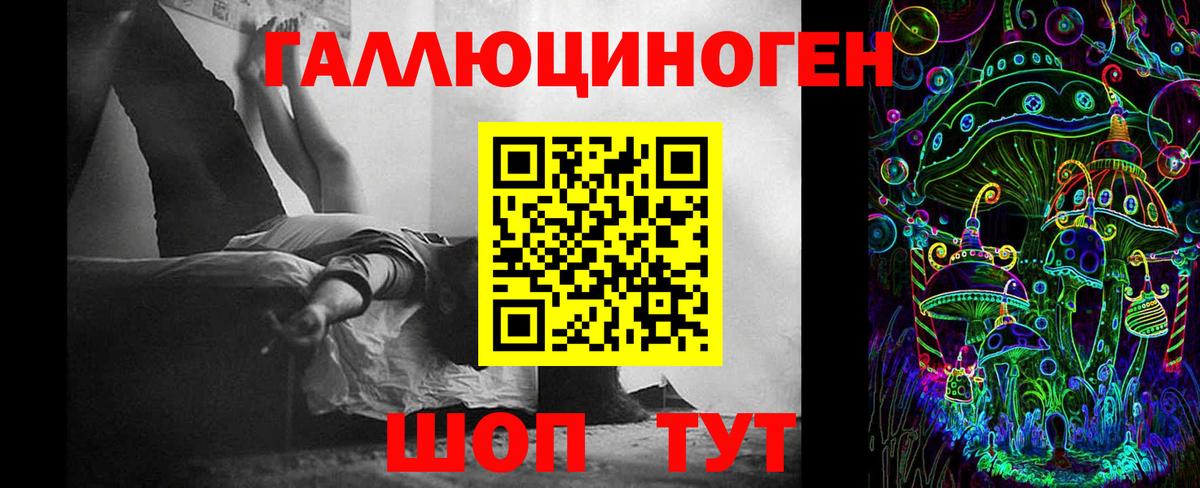 Псилоцибиновые грибы GOLDEN TEACHER Киселёвск