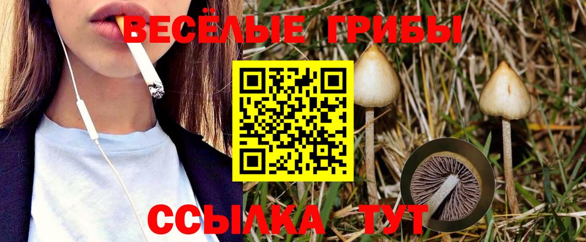 ГАШ Киселёвск